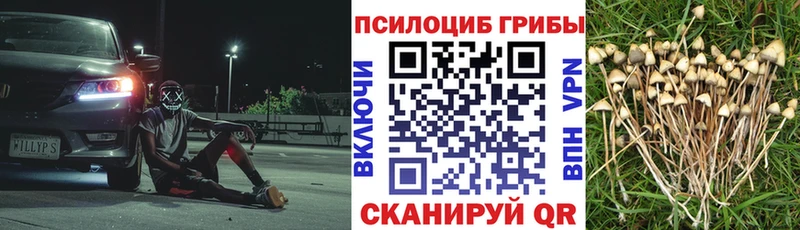 Псилоцибиновые грибы прущие грибы  Севастополь 
